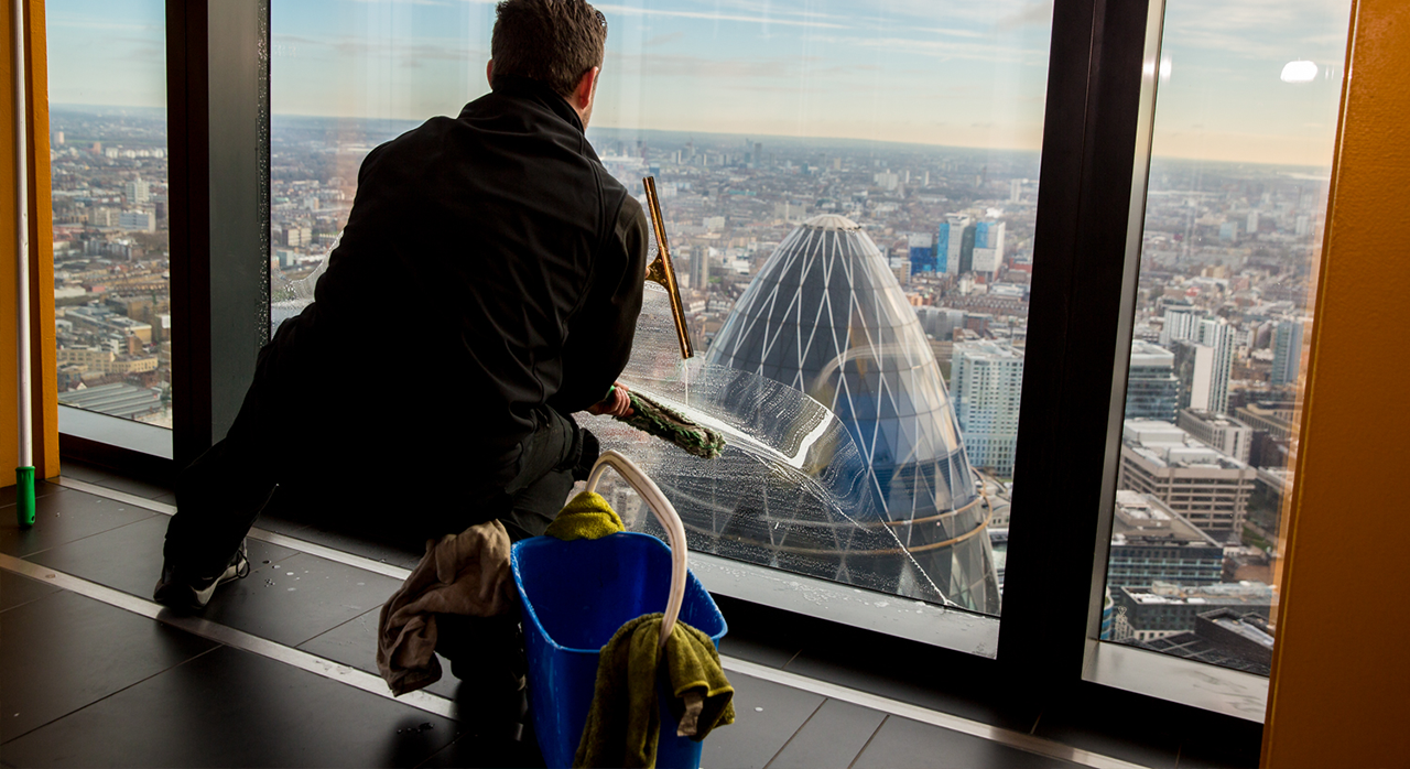 Professional Window Cleaning